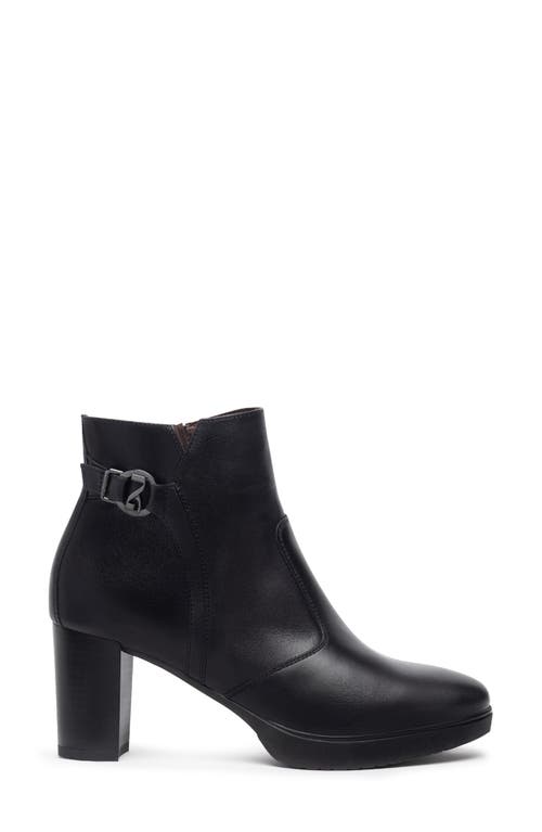 Nerogiardini Platform Bootie In Black