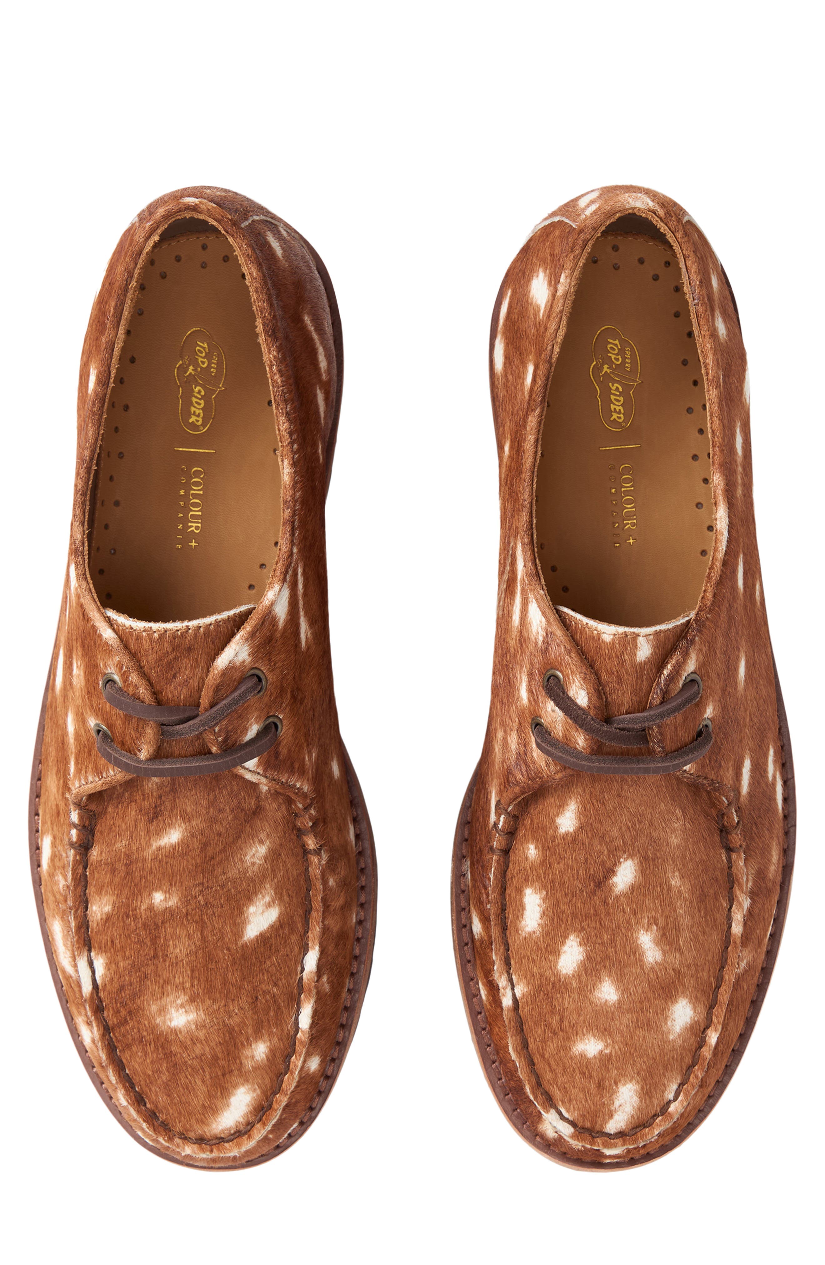 Sperry x Colour Plus Companie Genuine Calf Hair Captains Oxford, Alternate, color, Fawn Leather Pony Hair