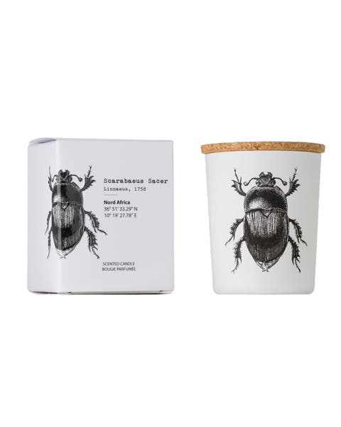 Insect Candle In Jar 2.65 Ounce