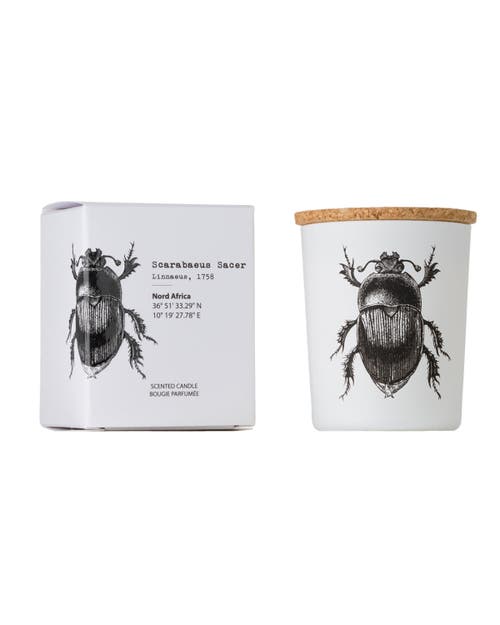 Vila Hermanos Insect Candle In Jar 2.65 Ounce