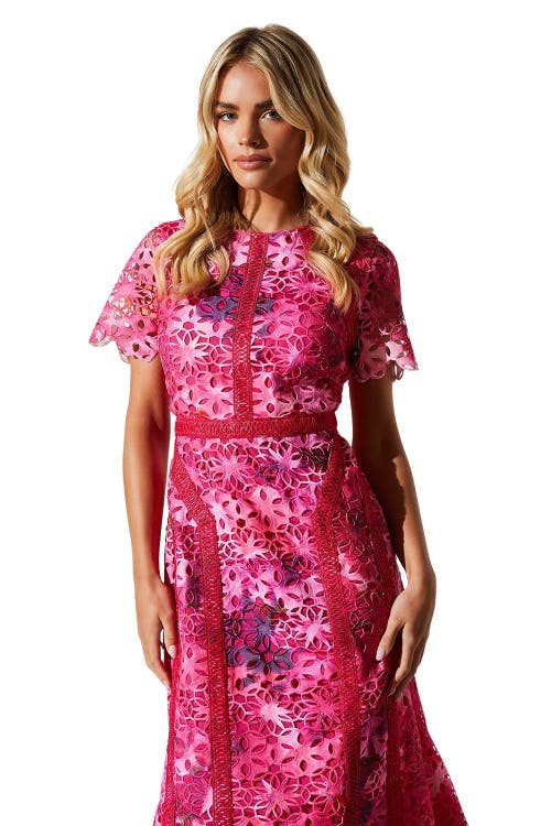 Coast Petite Printed Lace Midi Pencil Dress In Pink