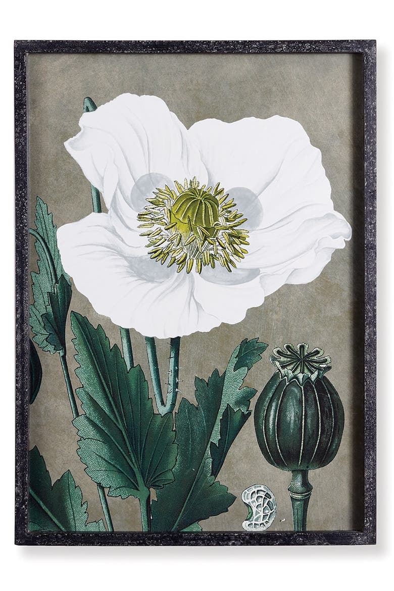 19.75" x 27.5" Stunning Poppy Floral Flower Art Prints in Fir Wood Frame w/ Glass Pane Set of 2, Alternate, color, Gray