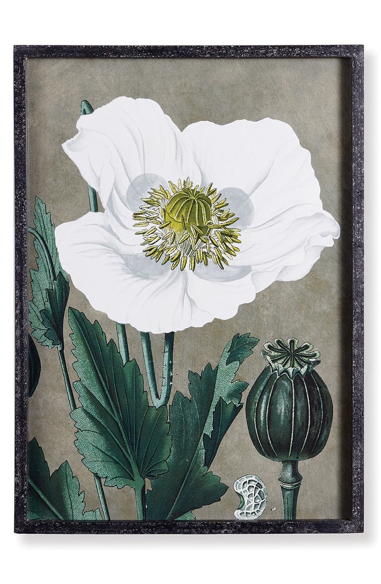 Napa Home & Garden 19.75" x 27.5" Stunning Poppy Floral Flower Art Prints in Fir Wood Frame w/ Glass Pane Set of 2, Alternate, color, Grey