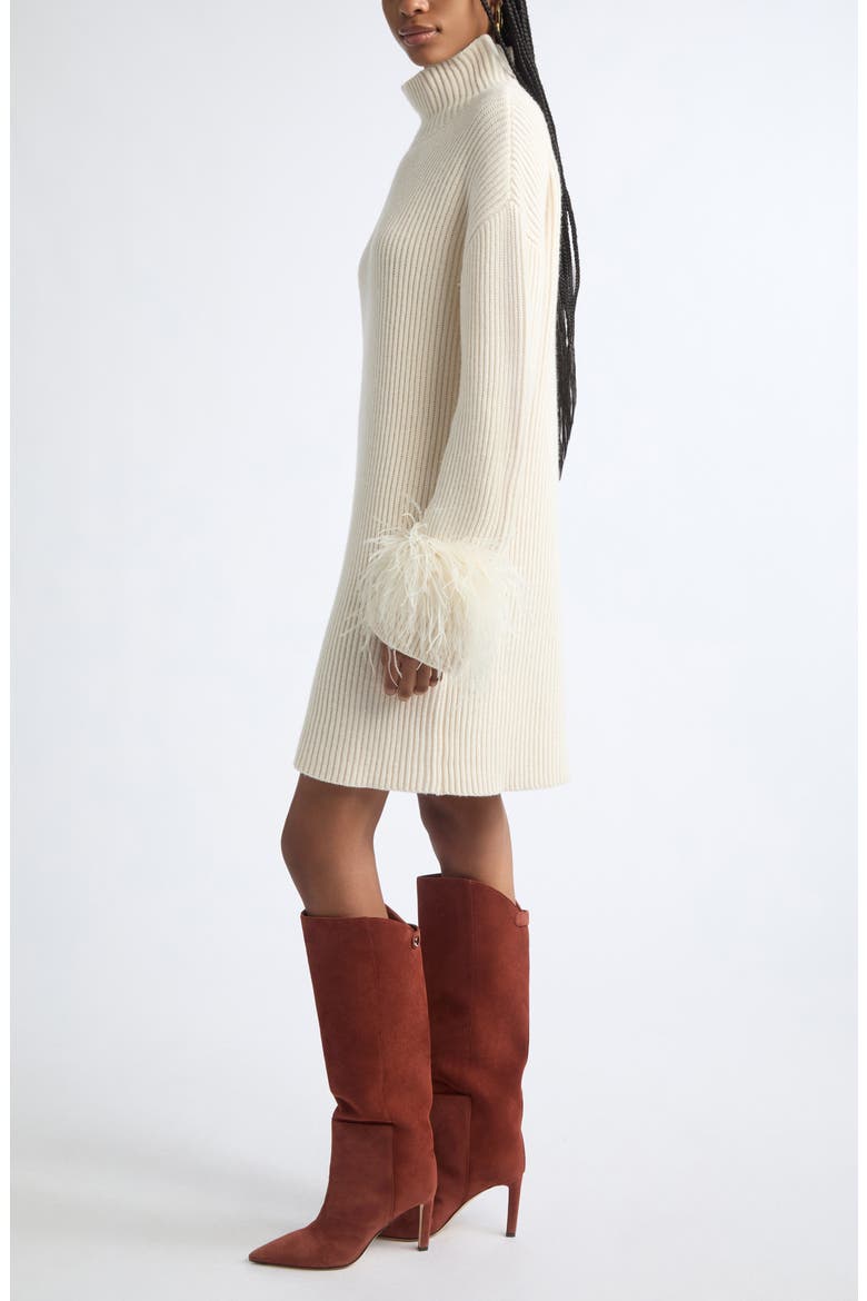 Kay Feather Trim Mock Neck Sweater Dress, Alternate, color, IVORY