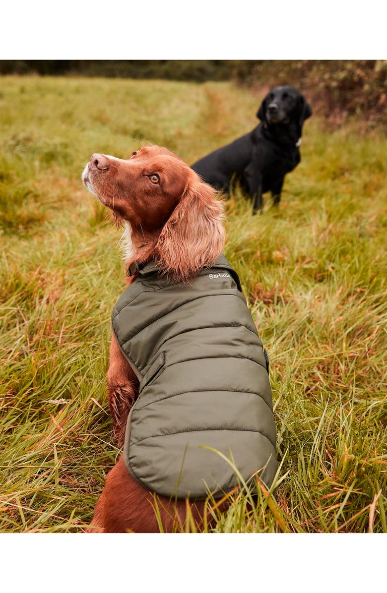 Barbour Quilted Dog Coat, Alternate, color, 