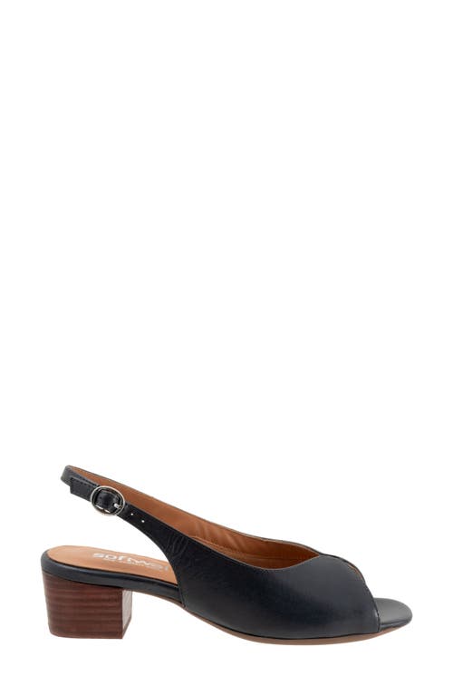Softwalk ® Lakewood Slingback Sandal In Navy