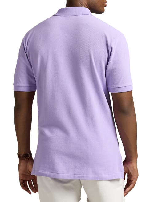 Polo Ralph Lauren Cotton Polo Shirt In Purple