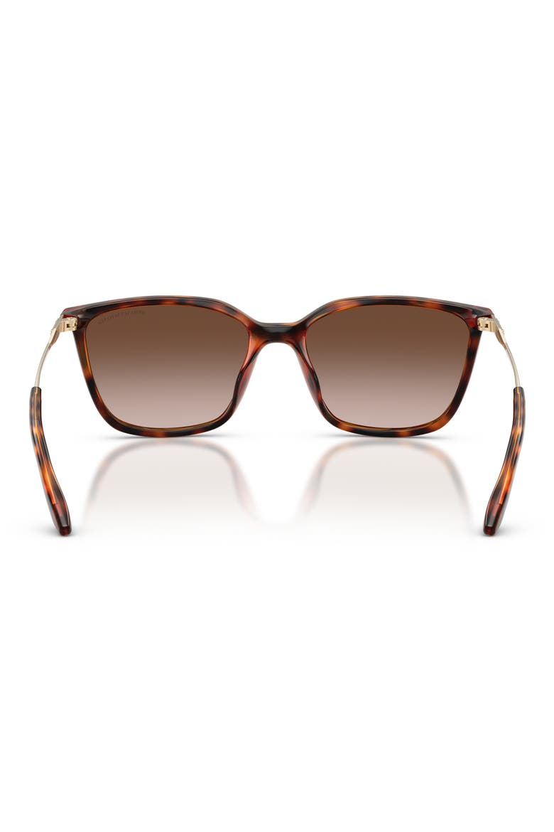55mm Square Sunglasses, Alternate, color, SHINY HAVANA / BROWN GRADIENT