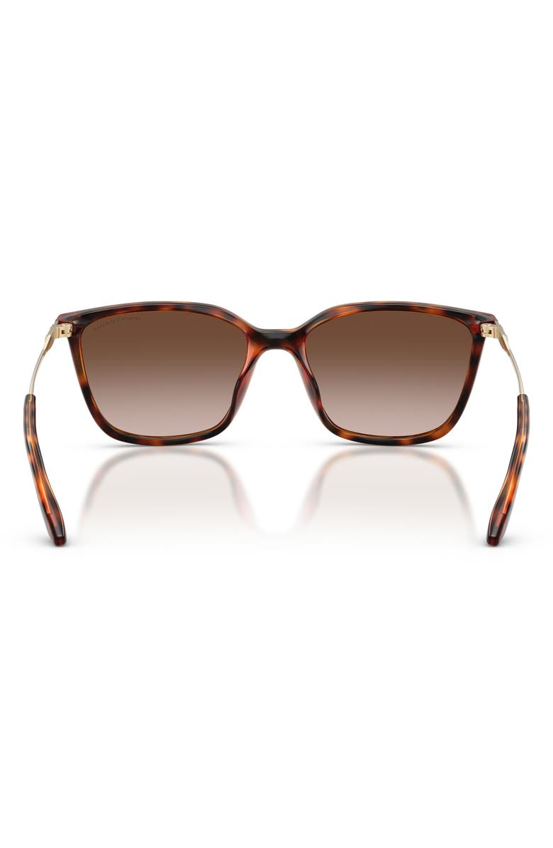 Armani Exchange 55mm Square Sunglasses, Alternate, color, Shiny Havana / Brown Gradient