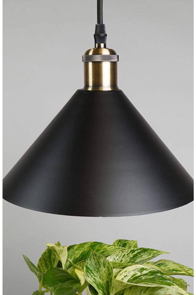 Modern Pendant Light and Socket, Alternate, color, Black/Black Metal