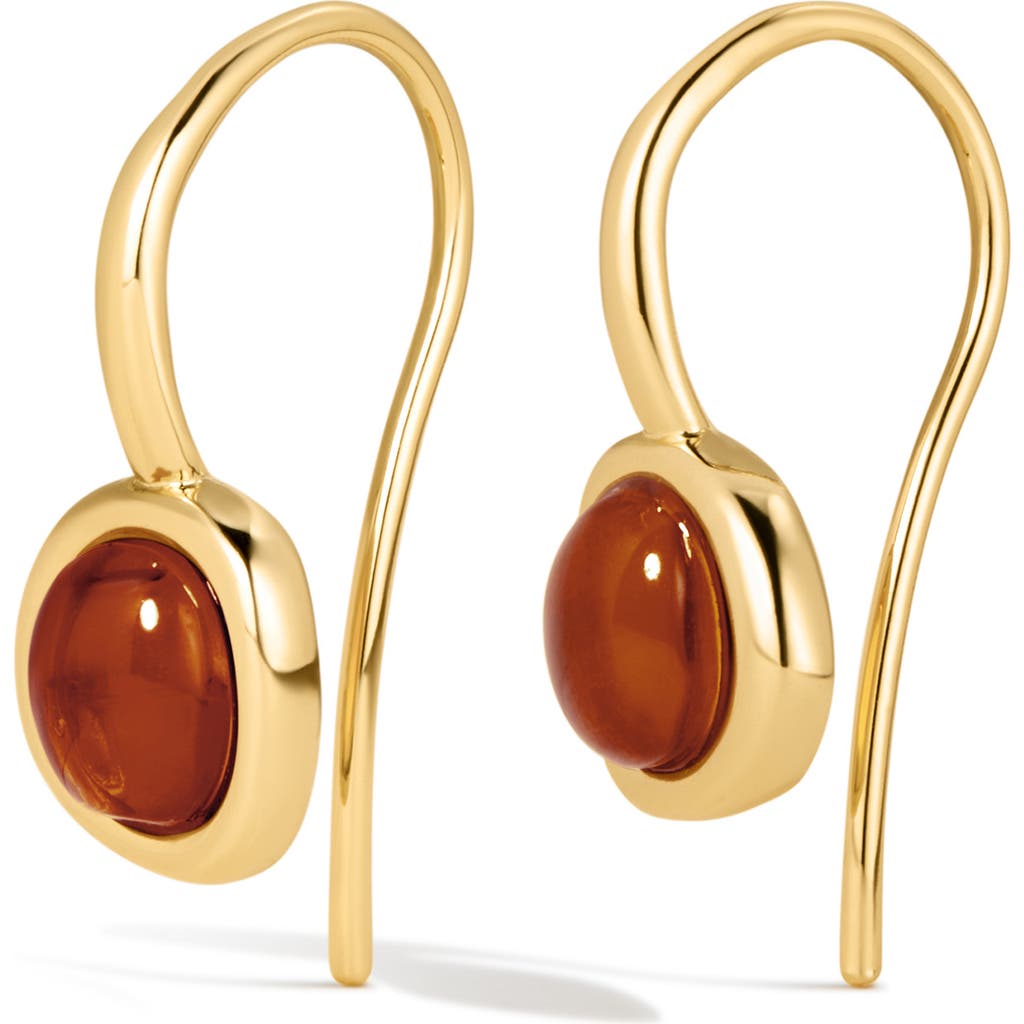 Luv Aj The Amber Honey Hook Threader Earrings In Gold