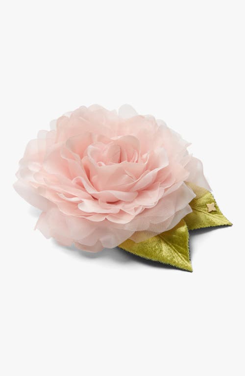 Helena Simon The Large Pale Pink Rose Floral Brooch In Pink
