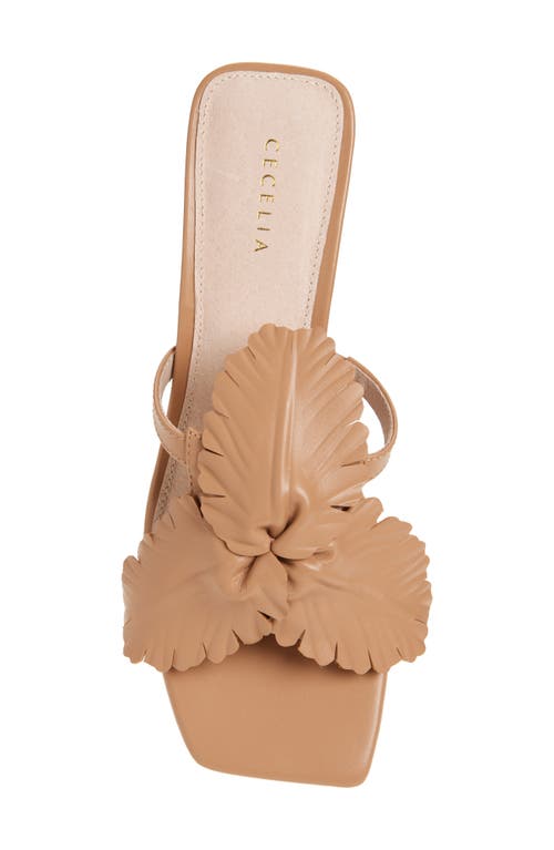 Cecelia New York Happy Leather Sandal In Tea
