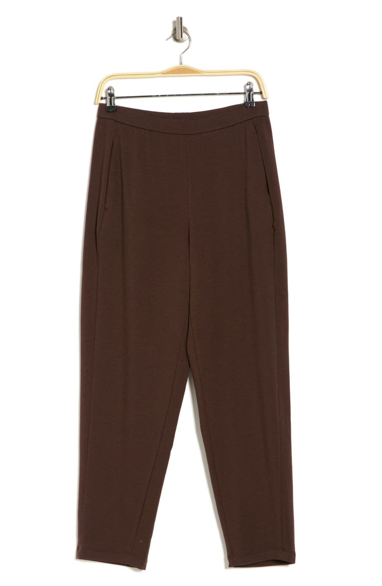 Eileen Fisher Slouch Fleece Ankle Pants, Alternate, color, 