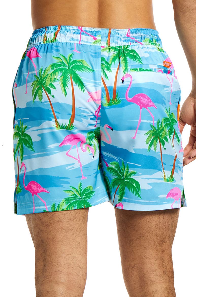 Flaminguy Stretch Swim Trunks, Alternate, color, MISCELLANEOUS