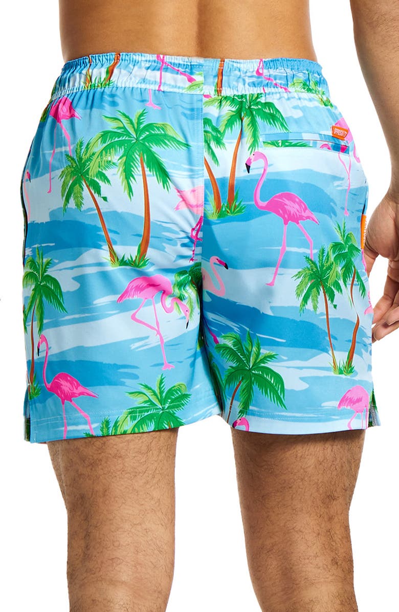 OppoSuits Flaminguy Stretch Swim Trunks, Alternate, color, Miscellaneous