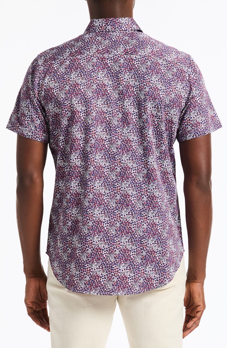 Robert Graham Fermont Short Sleeve Cotton Dress Shirt, Alternate, color, Blue Multi