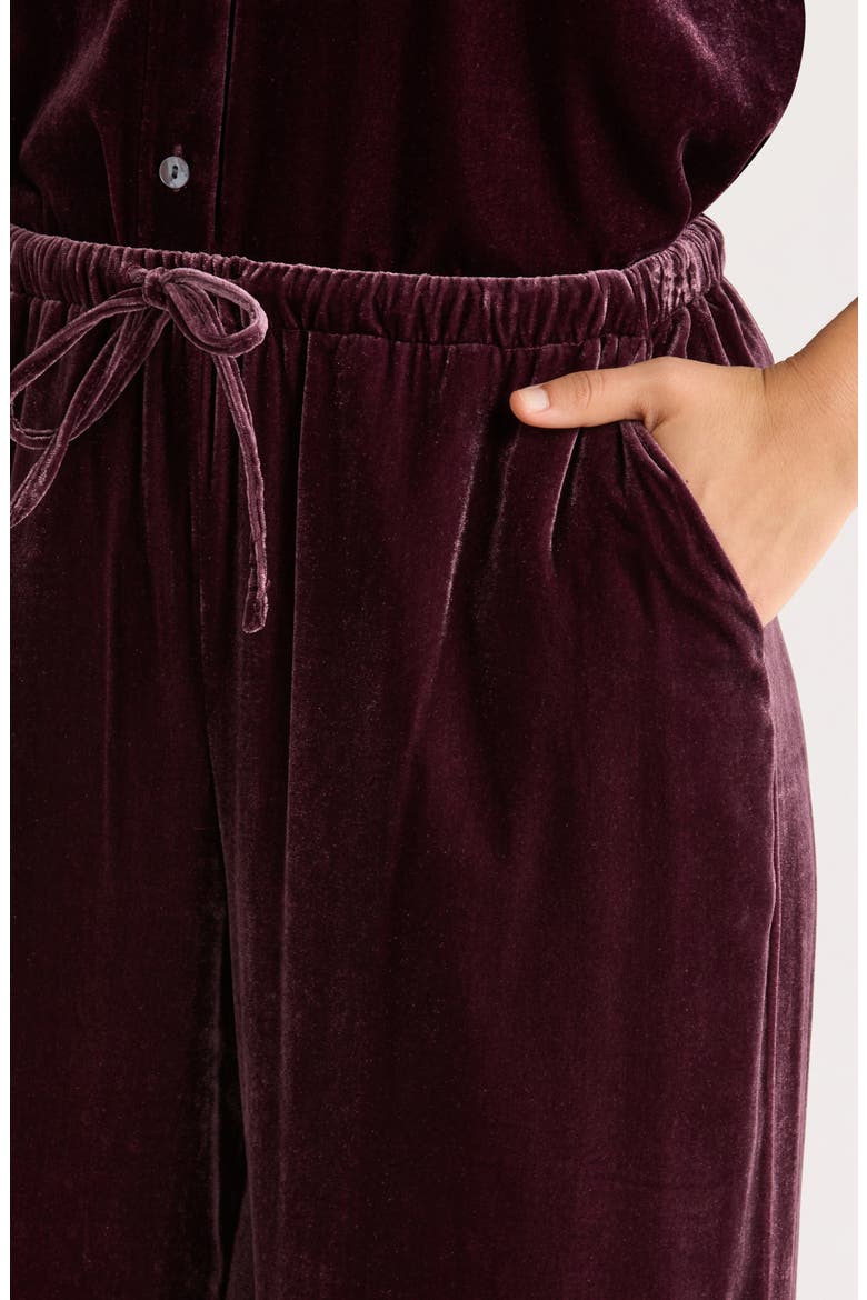 Bella Velvet Drawstring Pants, Alternate, color, FIG