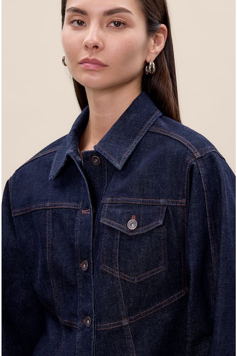 Carmen Denim Jacket, Alternate, color, Carmen Indigo
