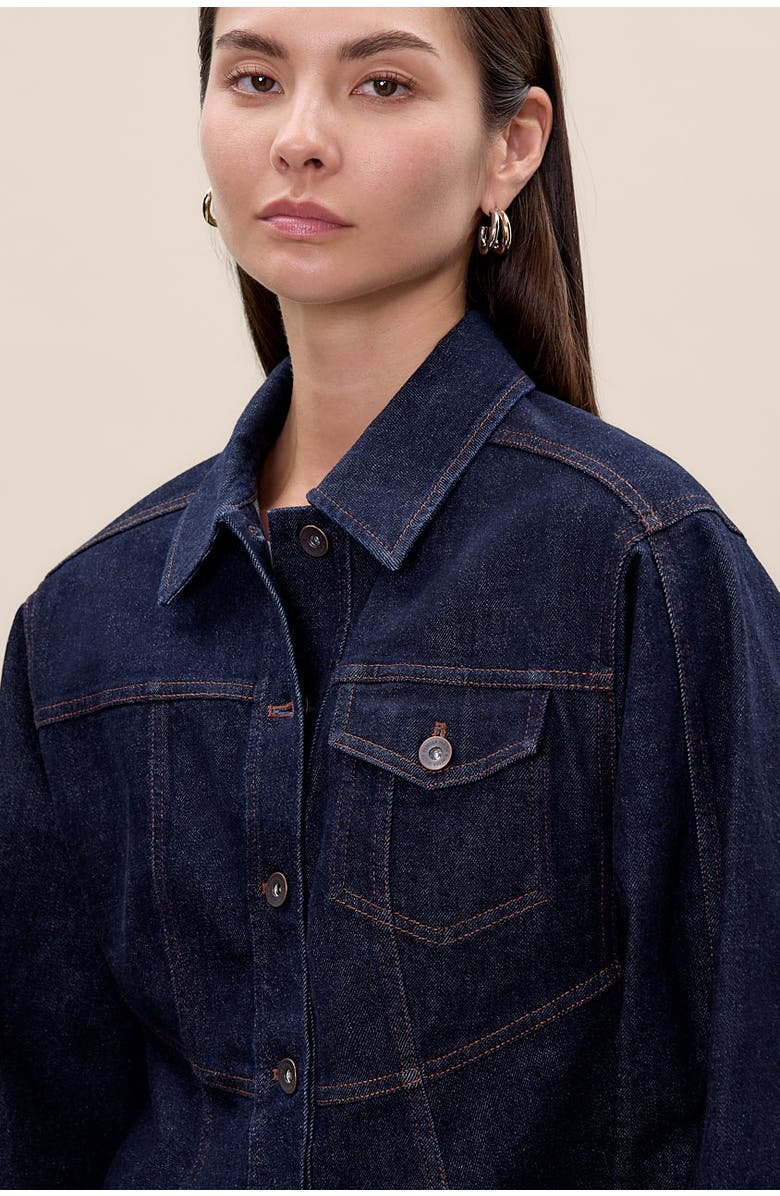 Rebecca Taylor Carmen Denim Jacket, Alternate, color, Carmen Indigo