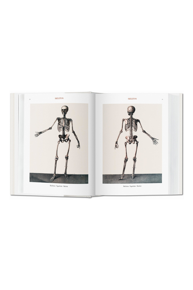 Bourgery Atlas of Human Anatomy and Surgery English French German Book, Alternate, color, multicolor