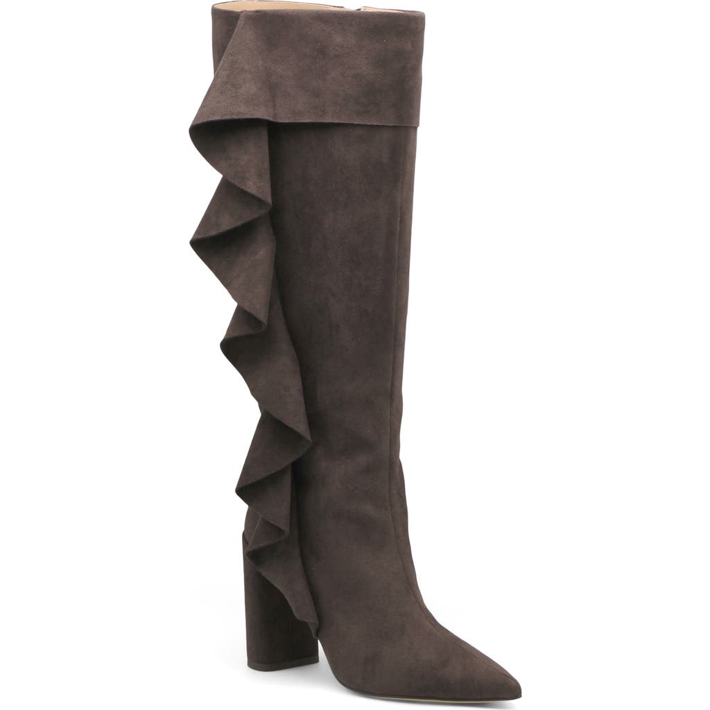 Charles By Charles David Viva Pointed Toe Knee High Boot In Brown