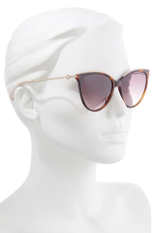 LONGCHAMP LONGCHAMP 55MM GRADIENT CAT EYE SUNGLASSES