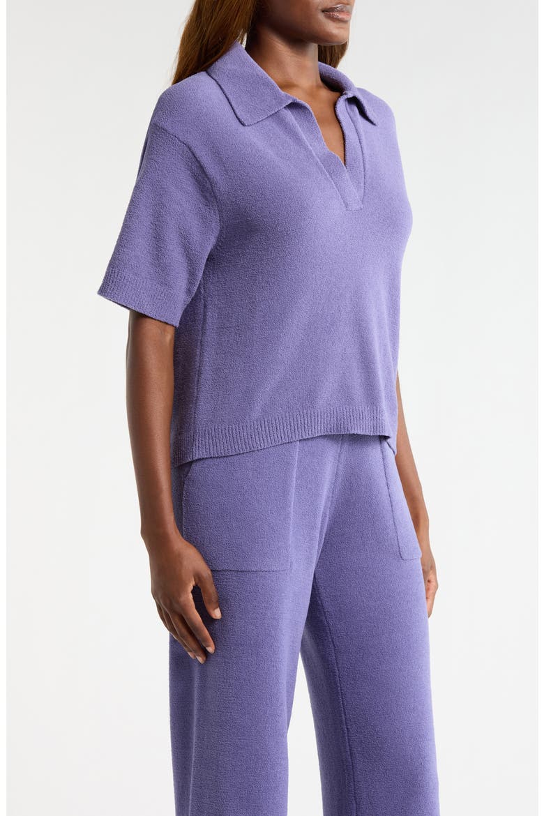 Keslyn Johnny Collar Knit Polo, Alternate, color, DUSTED IRIS