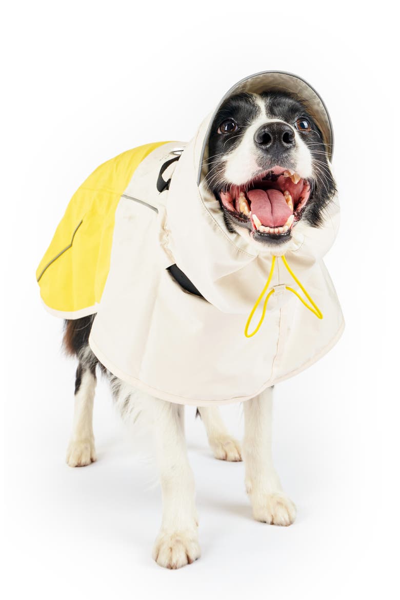 Venture Pet Rain Jacket, Alternate, color, YELLOW