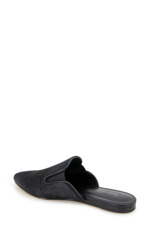Splendid Liza Pointed Toe Mule In Black