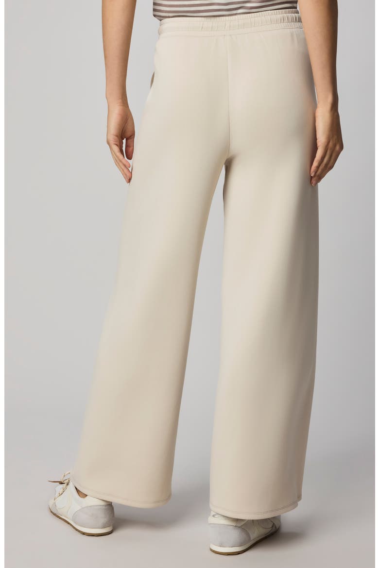 Scubasoft Wide Leg Drawstring Pants, Alternate, color, PALE OAK WHITE
