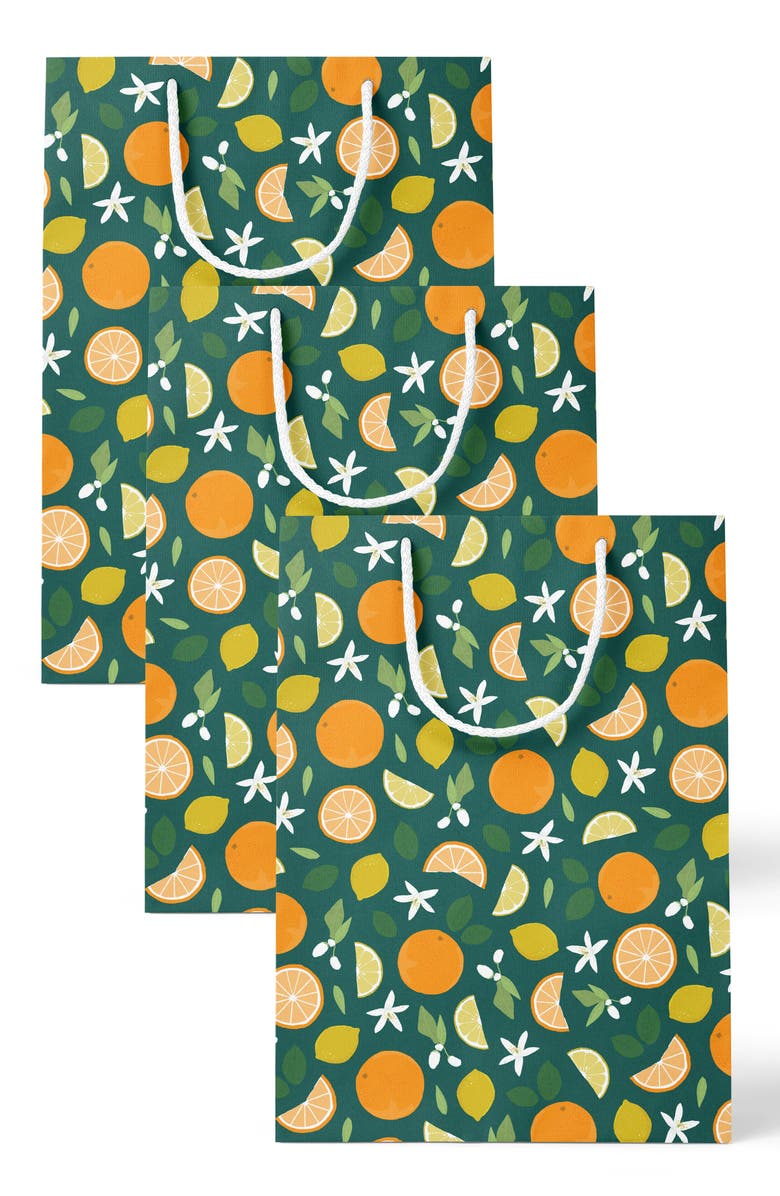 Joy Paper Co. Citrus & Floral Gift Bag Set, Main, color,