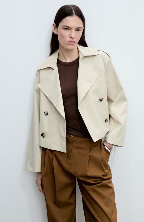 Shop Mango Wide Leg Cotton Blend Pants In Tobacco Brown