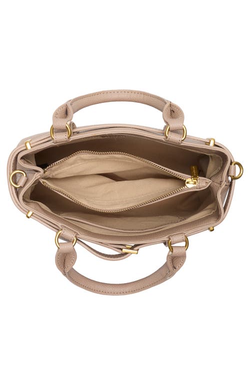 T Tahari Overlook Leather Satchel In Brown