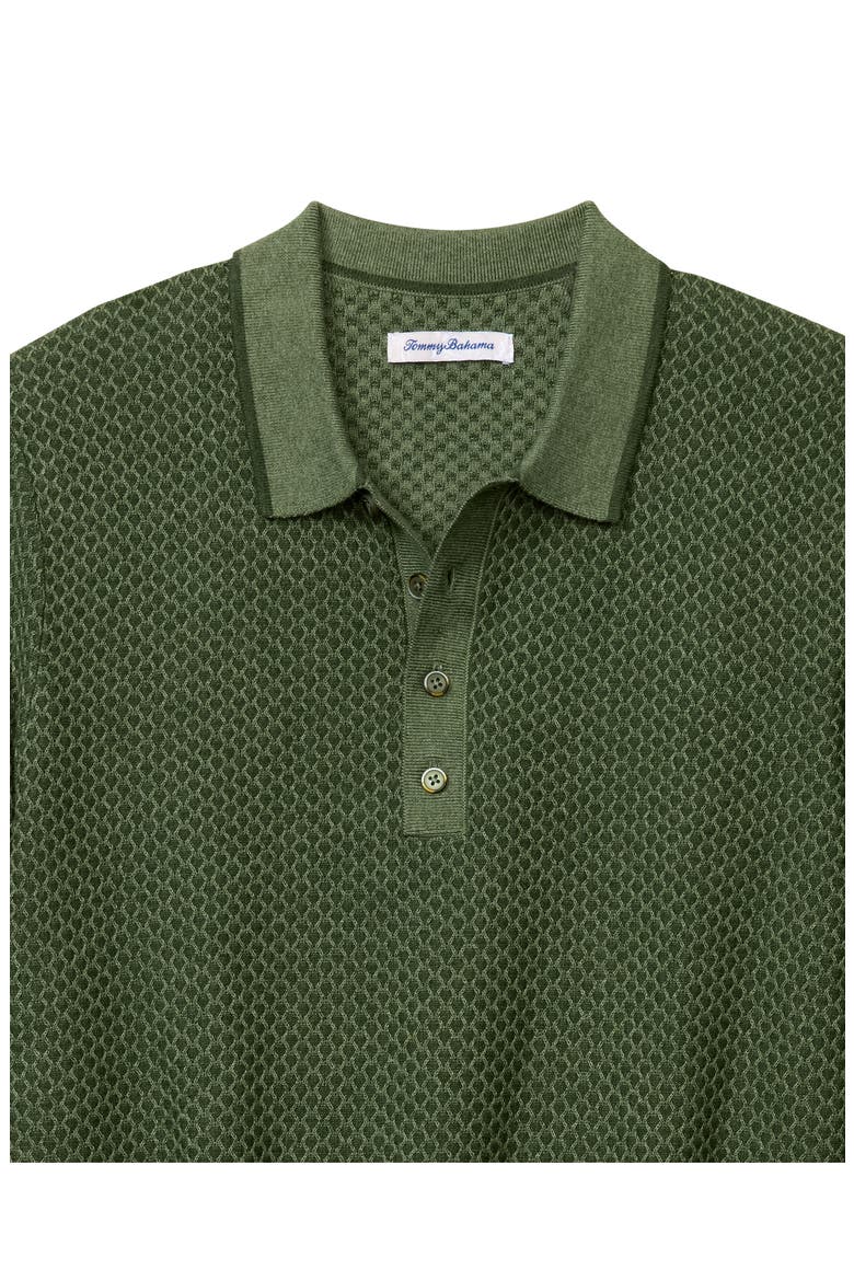 Coolside Valley Long Sleeve Polo Sweater, Alternate, color, CUCUMBER GREEN