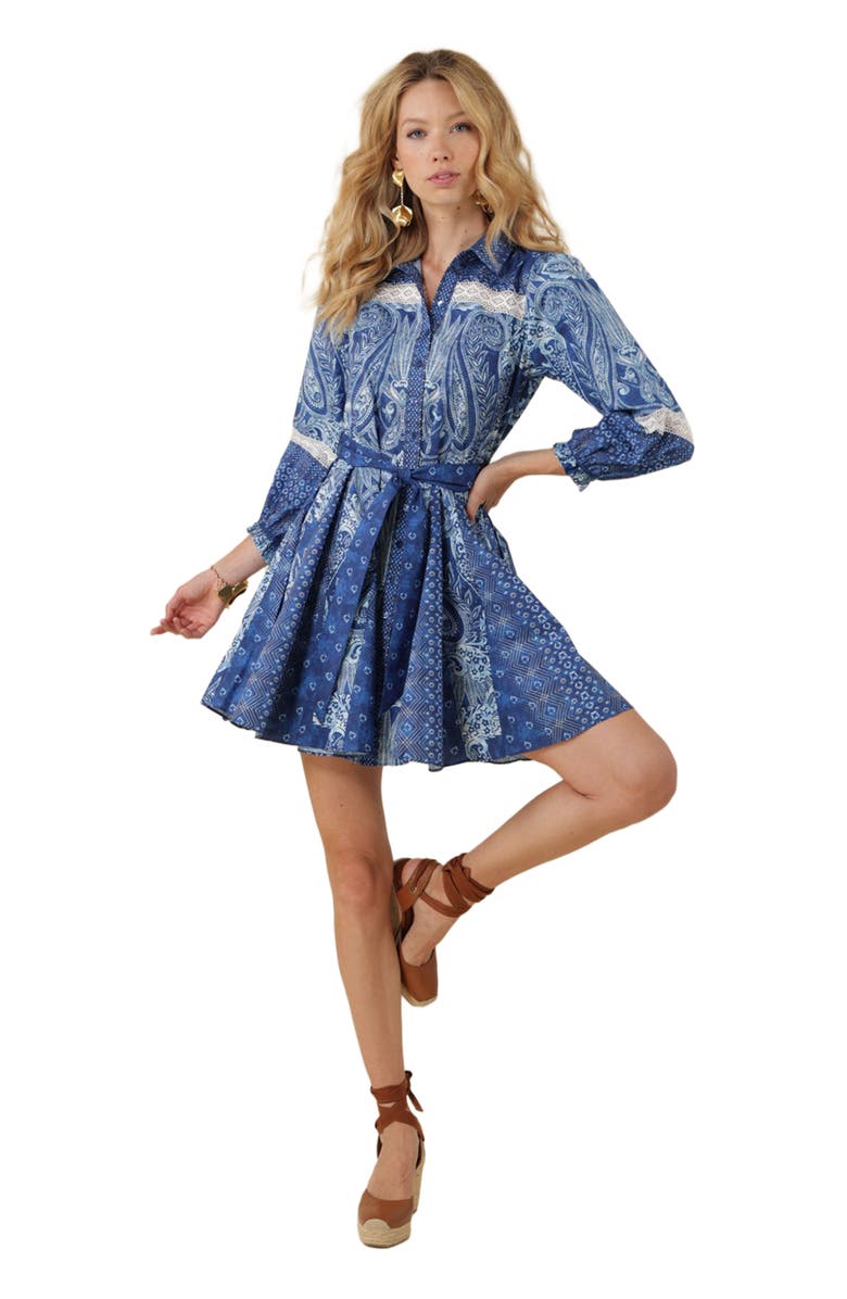 Hale Bob Collins Poplin Shirtdress, Main, color, 