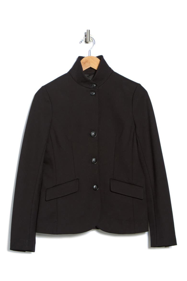 Sadie Slim FIt Ponte Blazer, Alternate, color, BLACK