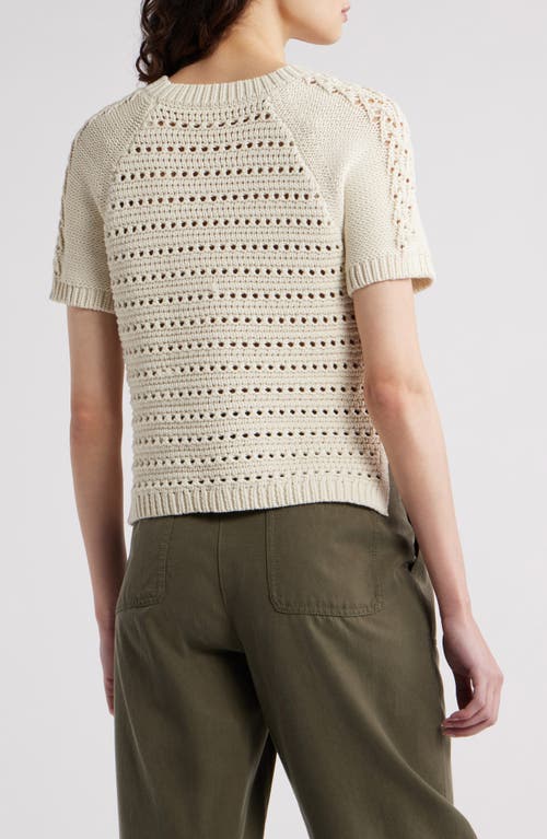 Treasure & Bond Pointelle Raglan Sleeve Sweater In Ivory Dove
