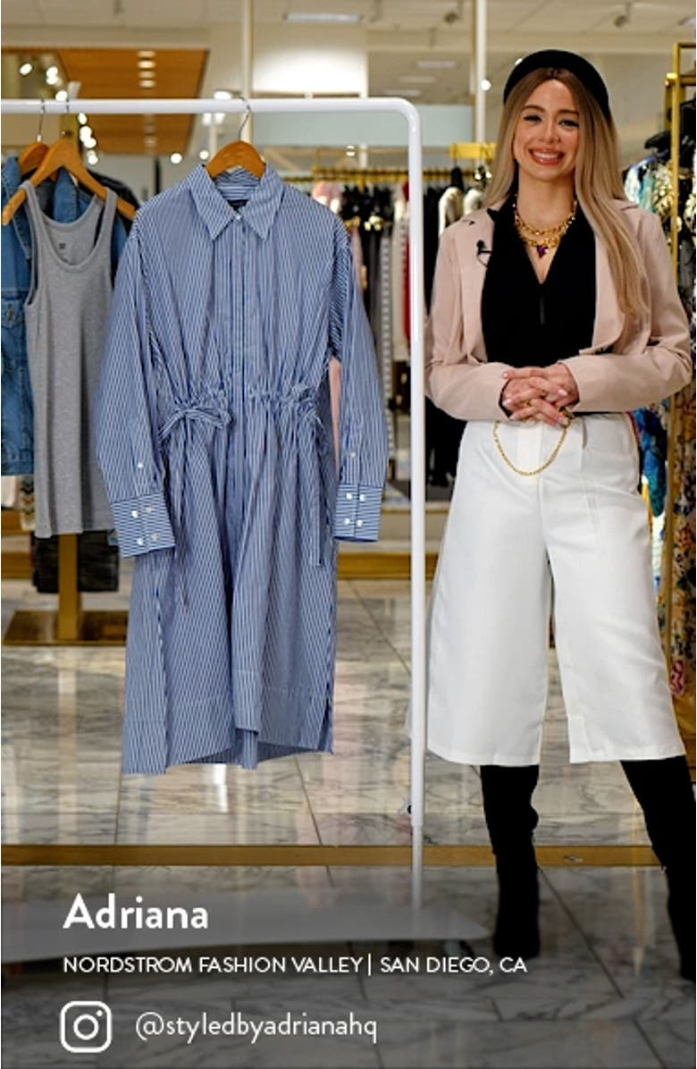 Rhodes Stripe Long Sleeve Shirtdress, sales video thumbnail