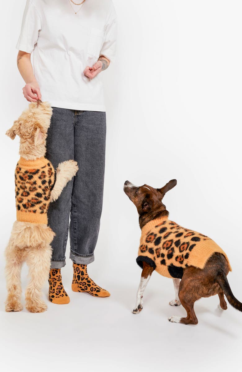 the furryfolks Leopard Pet Sweater & Crew Socks Set, Alternate, color, Brown