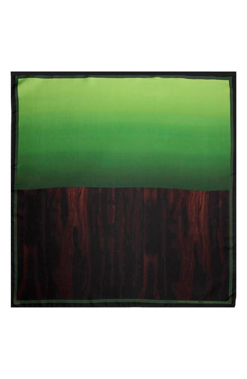 Dries Van Noten Foulard 5 Cannabis Patchouli Silk Scarf
