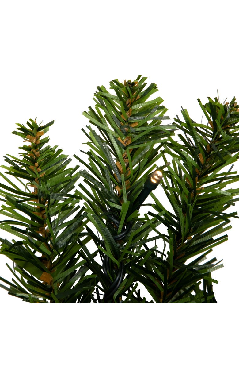 Northlight Pre-Lit Battery Operated Canadian Pine Christmas Wreath - 24" - Clear LED Lights, Alternate, color, Green