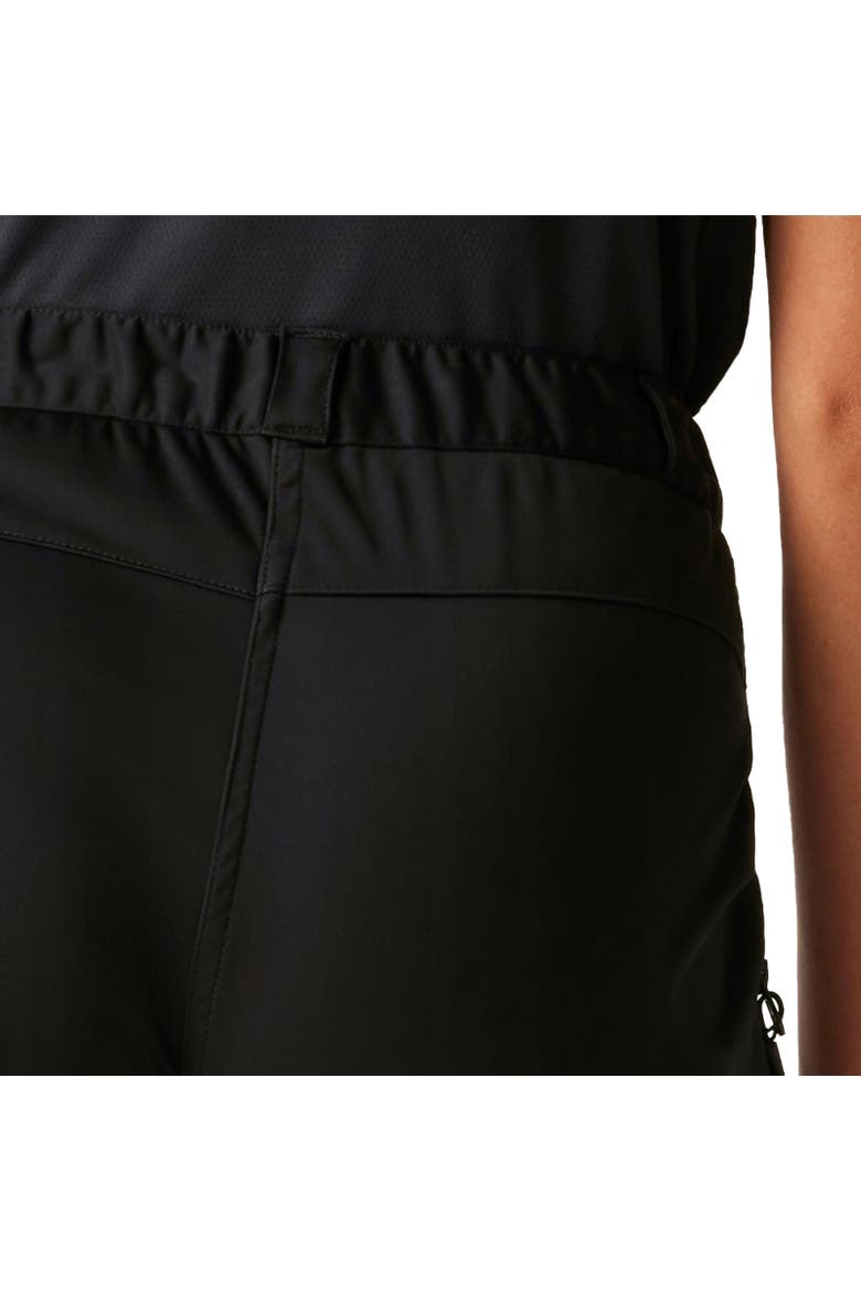 Assert Hiking Trousers, Alternate, color, Black