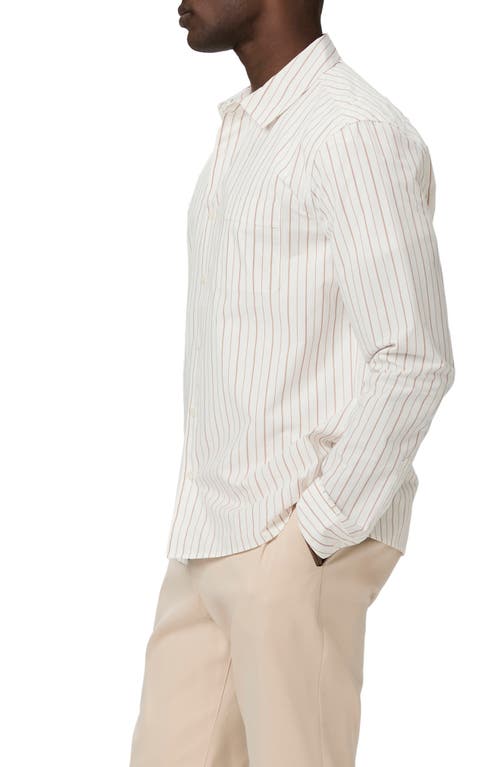 Paige Radovan Stripe Pima Cotton Button-up Shirt In Mesa Ridge Stripe