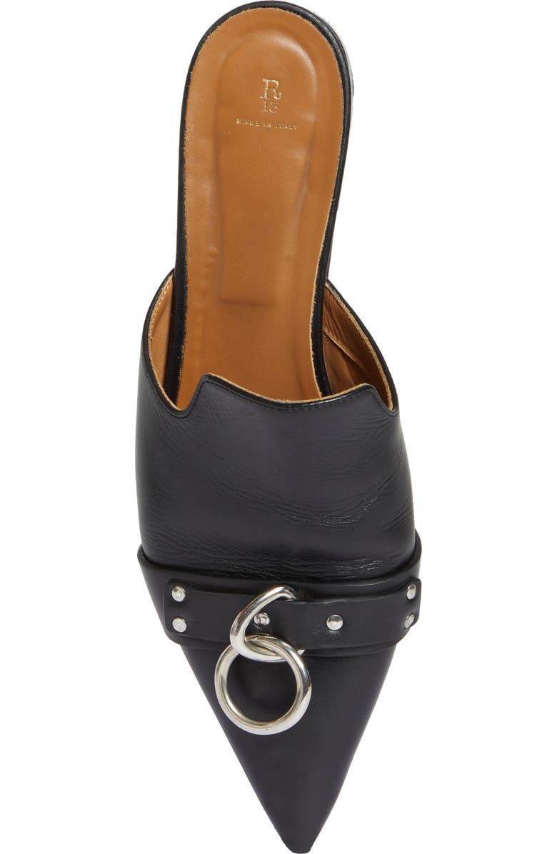 R13 Pointed Toe Flat, Alternate, color,