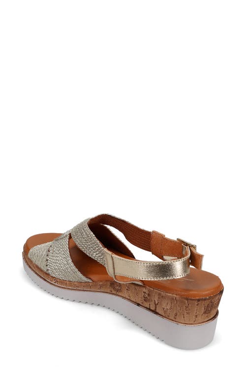 Sesto Meucci Rafe Wedge Sandal In Champagne