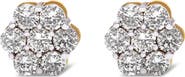 Haus of Brilliance 14K Yellow Gold 2.0 Cttw Diamond Floral Cluster Stud Earring