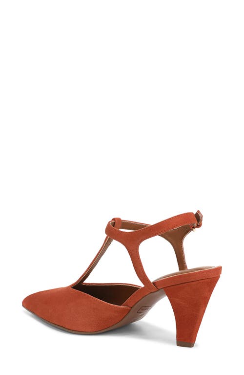 Franco Sarto Ovett Pointed Toe T-strap Pump In Brown