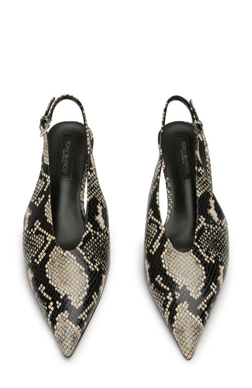 Tony Bianco Charlie Ecru Snake In Ecru Snake