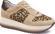 Johnston & Murphy Gracie Colorblock Sneaker